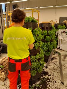 Kukkapylvään istutus 2