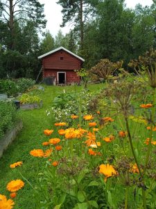 Könkkölä tilan puutarha.