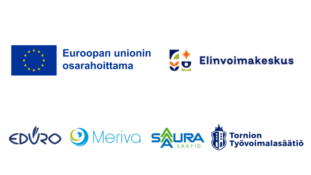 OK! -osaamispassilla osallisuutta -hankkeen toimijoiden logot.